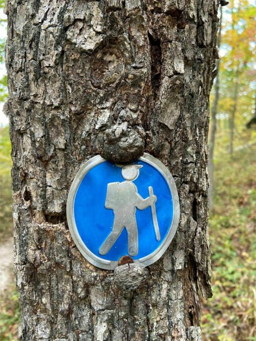 A blue hiking trail marker attached to a tree trunk in a forested area.