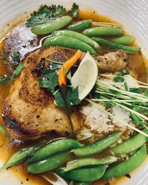 A plate of roasted chicken with snap peas, lime, cilantro, and a hint of chili, served over rice in a flavorful broth.