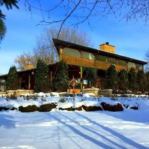 A cozy wooden house surrounded by snow-covered trees and shrubs, with a clear blue sky in the background.