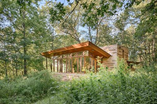 A modern cabin with large windows nestled among lush greenery in a forested area.