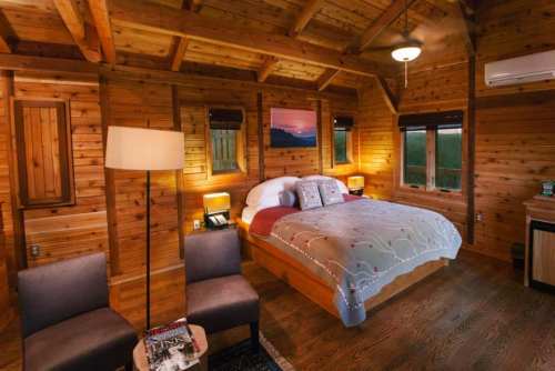 Cozy wooden cabin bedroom with a queen bed, two chairs, a lamp, and large windows for natural light.