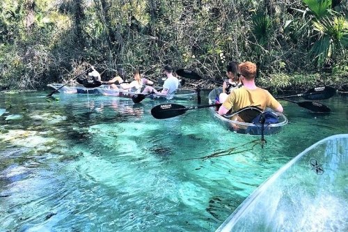 A group of people kayaking in clear blue water surrounded by lush greenery.