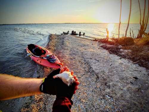 A person holds a shell in hand, with a kayak on the shore and a sunset over the water in the background.