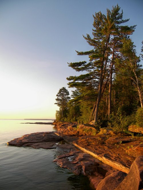 Serene lakeside view at sunrise, featuring tall trees and rocky shoreline reflecting calm waters.