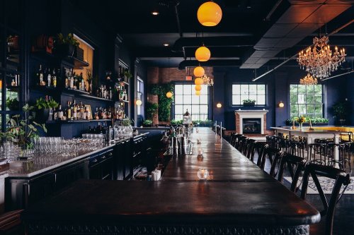 A stylish bar interior with a long counter, shelves of drinks, and elegant lighting, featuring plants and a cozy atmosphere.