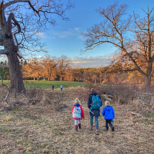 A group of people walking through a grassy area with trees, enjoying a sunny day outdoors.