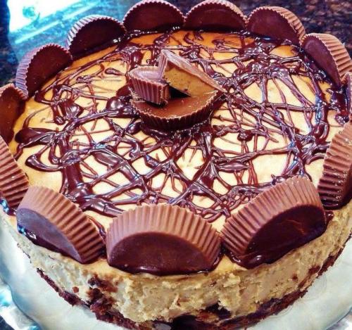 A delicious cheesecake topped with chocolate drizzle and mini peanut butter cups around the edge.