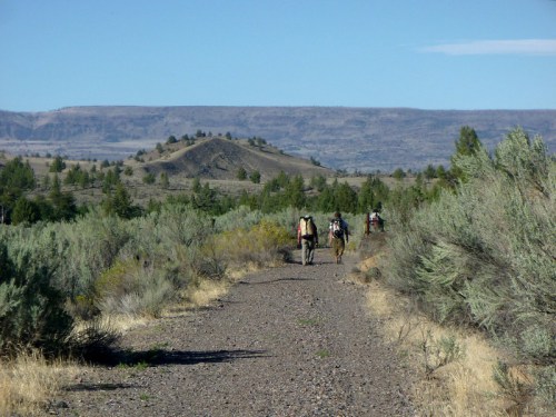 Three hikers walk along a gravel path through a desert landscape with shrubs and distant hills under a clear blue sky.