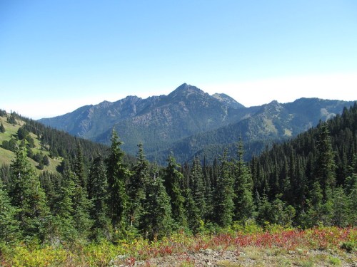 A scenic view of mountains surrounded by lush green trees under a clear blue sky.