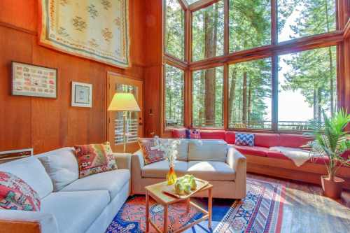 Cozy living room with large windows, wooden walls, a sofa, and a vibrant rug, surrounded by trees.