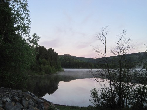 Serene lake at dawn, surrounded by lush trees and mist, reflecting the soft colors of the early morning sky.