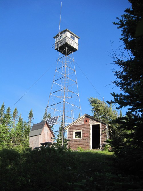A tall fire lookout tower stands above a small wooden cabin, surrounded by trees under a clear blue sky.