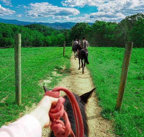 A person holds a horse's reins while riding along a scenic path with others in the background, surrounded by green fields.
