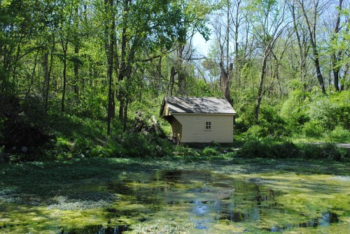A small, yellow cabin surrounded by lush greenery and a calm, reflective pond in a serene natural setting.