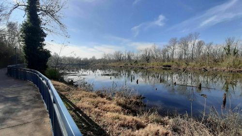 A serene river scene with a walking path, trees, and reflections on the water under a clear blue sky.