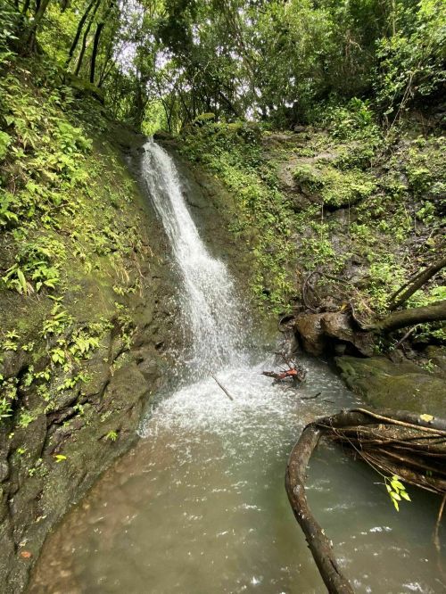 A serene waterfall cascading down rocky terrain, surrounded by lush green foliage and a tranquil pool below.