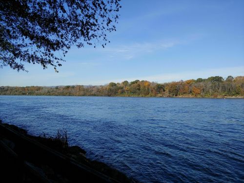 A serene river scene with calm water and trees displaying autumn colors under a clear blue sky.