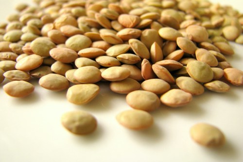 A close-up of a pile of light brown lentils on a white surface.