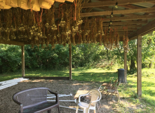 A shaded outdoor area with hanging garlic, chairs, and a grassy backdrop.