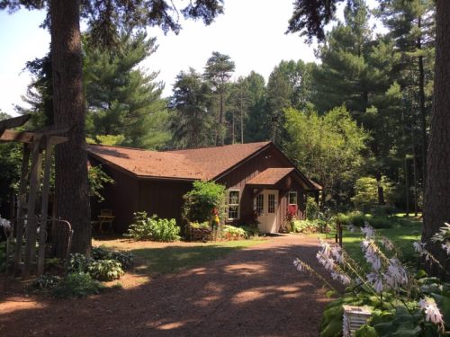 A cozy brown cottage surrounded by trees and lush greenery, with a garden in the foreground.