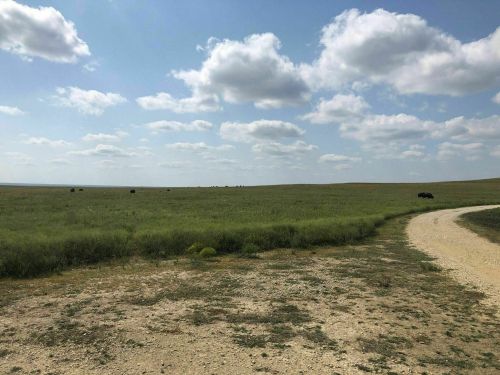A wide, open landscape with green grass, a dirt path, and scattered clouds in a blue sky.