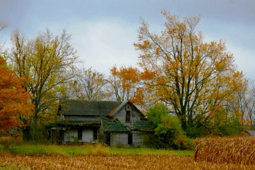An old, abandoned house surrounded by autumn trees and a field of tall grass, under a cloudy sky.