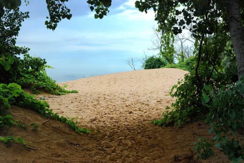 A sandy path leads to a serene beach, framed by lush greenery and a cloudy sky.