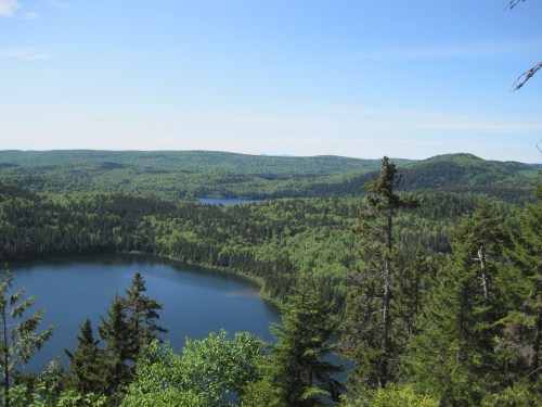 A panoramic view of lush green forests and tranquil lakes under a clear blue sky.