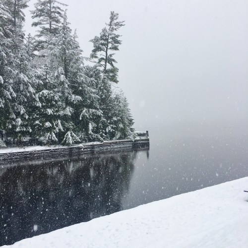 A snowy landscape featuring a calm lake surrounded by evergreen trees, with heavy snowfall creating a misty atmosphere.