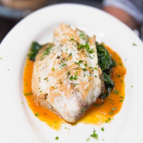 A plate of cooked fish on a bed of sautéed greens, drizzled with a vibrant orange sauce and garnished with herbs.
