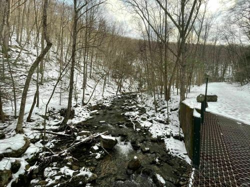 A snowy landscape with a flowing creek surrounded by bare trees and a metal railing in the foreground.