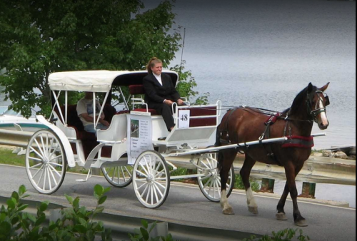 A horse-drawn carriage with two passengers rides along a scenic road by a lake.