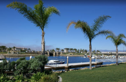 A serene waterfront scene featuring palm trees, a dock, and boats under a clear blue sky.