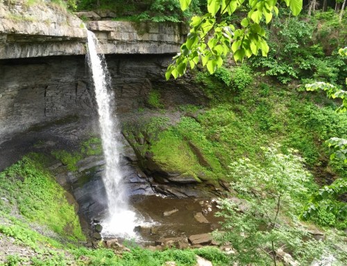 A serene waterfall cascading over rocky cliffs into a lush, green valley surrounded by trees.