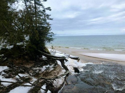 A serene beach scene with snow-covered rocks, trees, and calm waters under a cloudy sky.