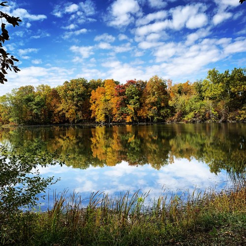 A serene lake reflecting colorful autumn trees under a blue sky with fluffy clouds.