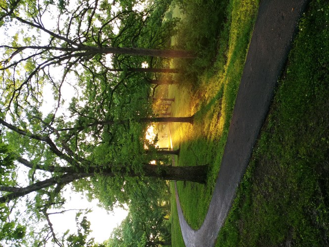 A winding path through a lush green park, with sunlight streaming through trees at sunset.