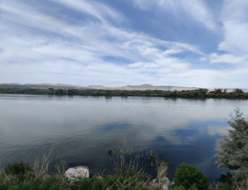A serene river scene with calm water reflecting the sky and distant hills under a partly cloudy sky.