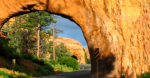 A scenic view of a road passing through a natural rock arch, surrounded by trees and red rock formations.