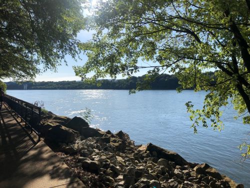 A serene river scene with sunlight reflecting on the water, framed by trees and rocky shoreline.