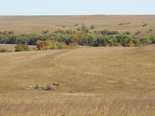 A vast, open landscape with rolling hills, sparse trees, and patches of autumn foliage against a clear sky.