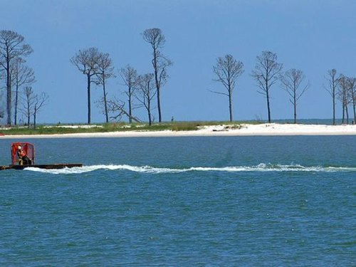 A small boat moves through blue water near a sandy shore lined with bare trees under a clear sky.