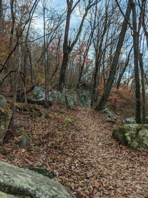 A winding trail through a forest with autumn leaves, rocky terrain, and trees displaying fall colors.