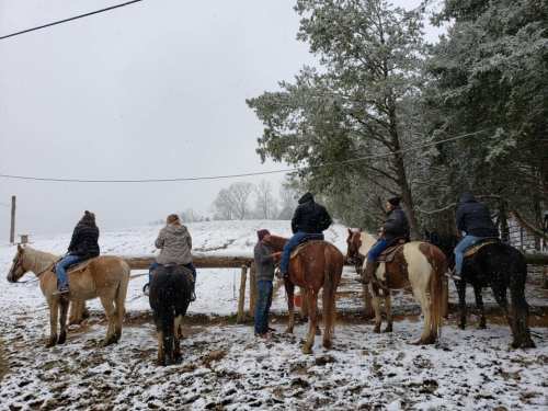 A group of people on horseback in the snow, facing a snowy landscape with trees in the background.