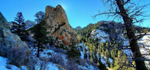 A rocky mountain landscape with snow, tall pine trees, and a clear blue sky.