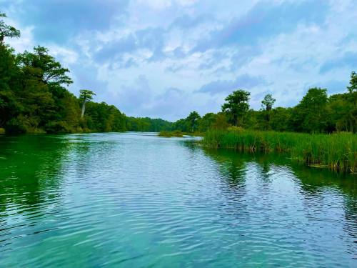 A serene river scene with lush greenery and calm waters under a cloudy sky.