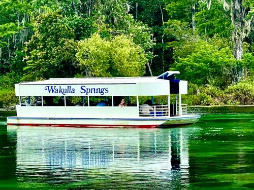 A boat labeled "Wakulla Springs" glides through green waters surrounded by lush trees and vegetation.