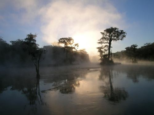 Misty sunrise over a tranquil lake, with silhouetted trees reflecting on the water's surface.