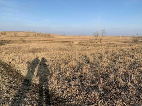 Two shadows of people on a grassy field under a clear blue sky, with distant trees and hills in the background.