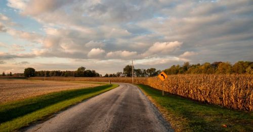 A winding rural road bordered by fields and trees under a cloudy sky during sunset.